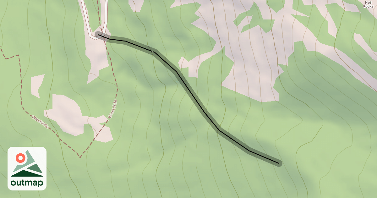 Map of Forest