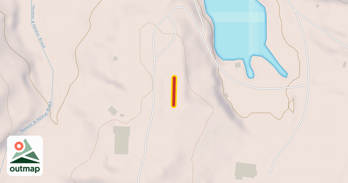 Map of Carpet #4