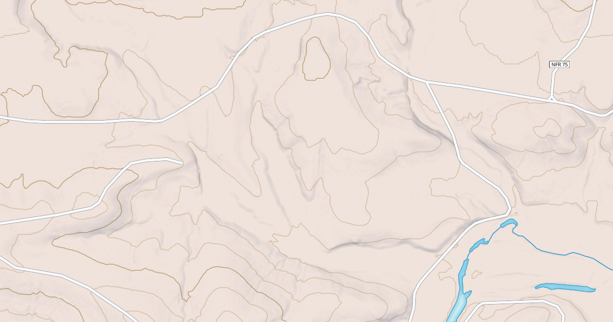 Map preview of USFS National Forest System Roads {5E516AA7-F7CF-4C12-9DF4-833A5E23236F}
