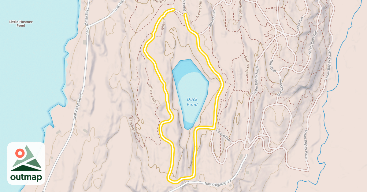 Map of Duck Pond