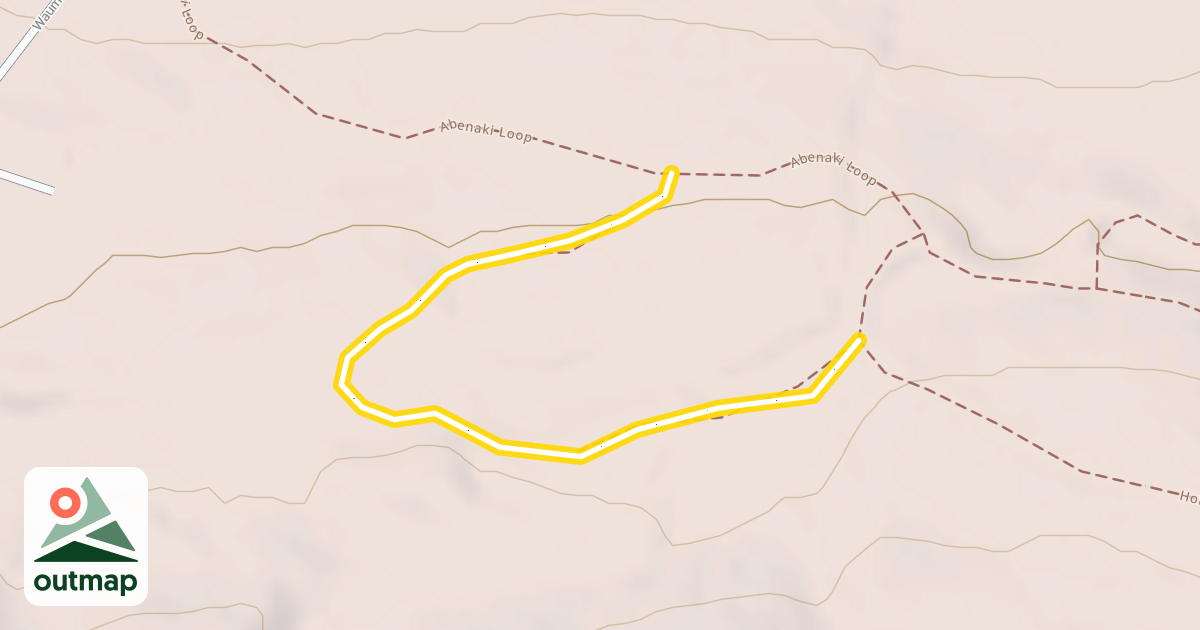 Map of Penny Lane