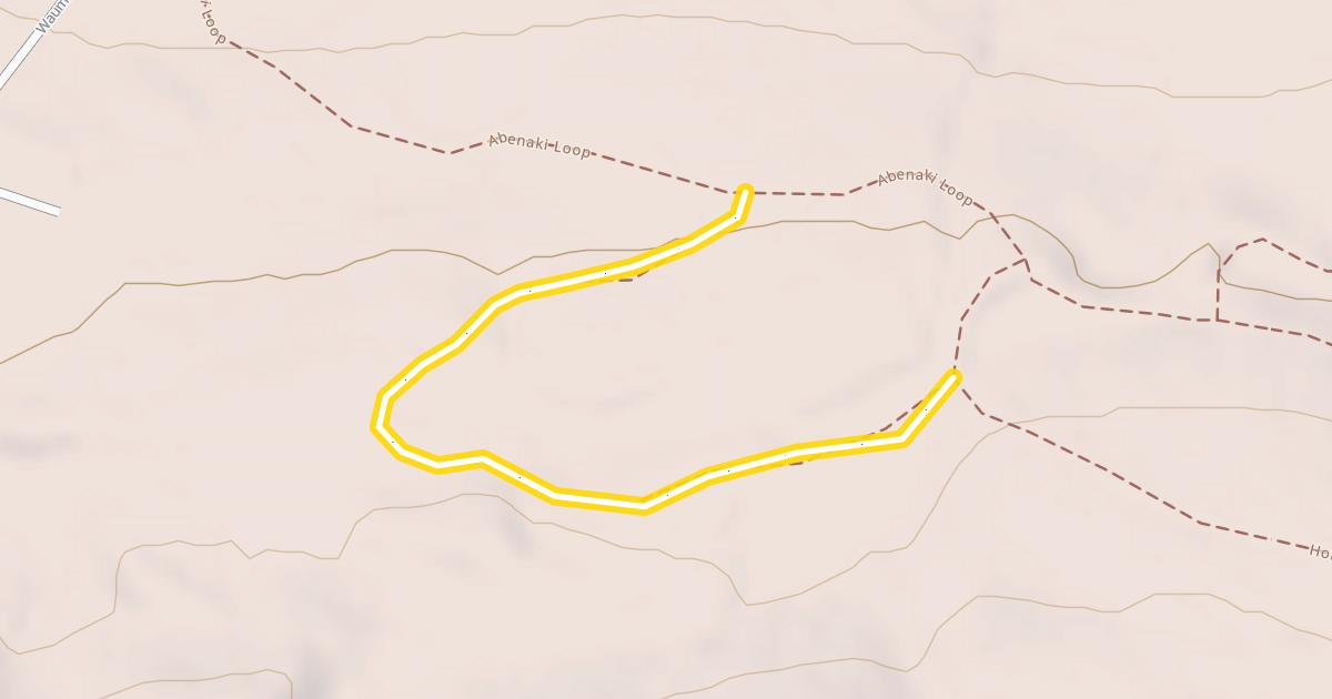 Map preview of Penny Lane