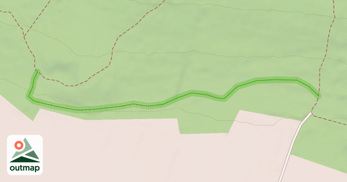 Map of Coté Est très encombré arbre et chemin défoncé juin2023