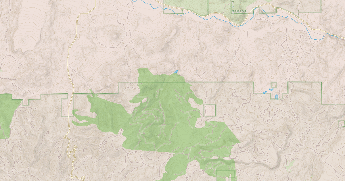 Map preview of USFS Motor Vehicle Use Map Roads {1EDEE39E-D695-475C-9E1E-0031FE205AC8}