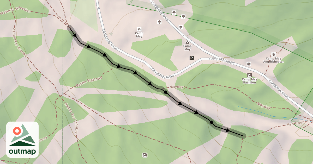 Map of Leaping Lizard