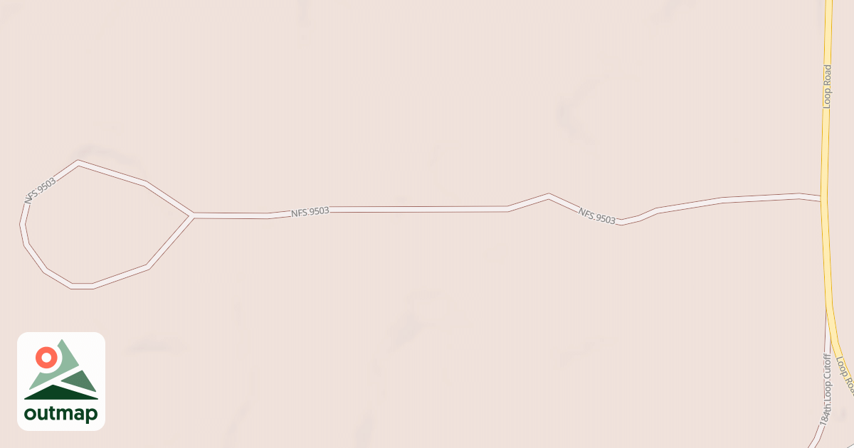 Map of 9503
