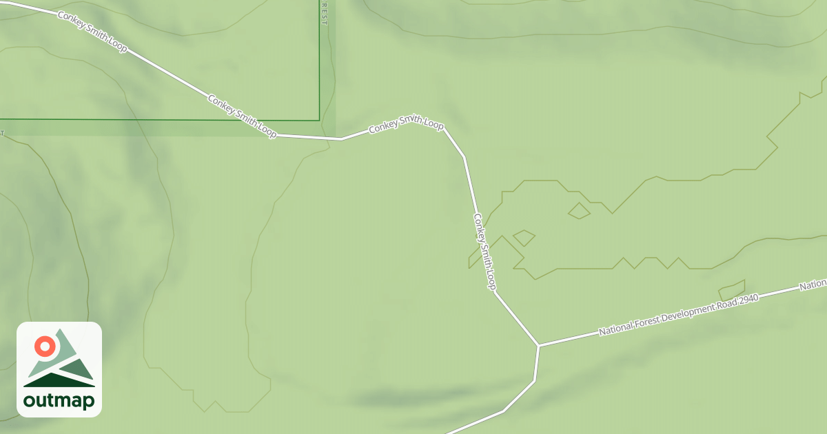 Map of USFS National Forest System Roads {865CB4C9-9579-458D-9433-975A0EC459C1}