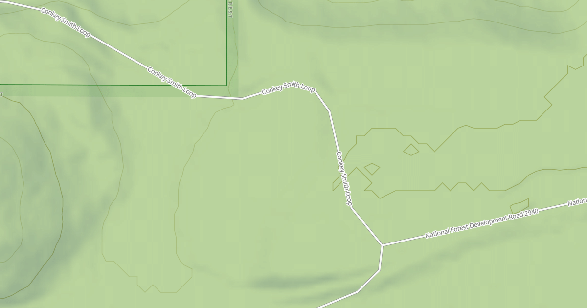 Map preview of USFS National Forest System Roads {865CB4C9-9579-458D-9433-975A0EC459C1}