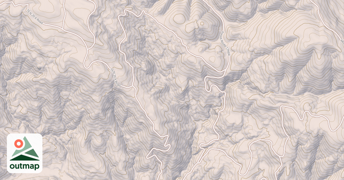 Map of LIVE OAK HOLLOW