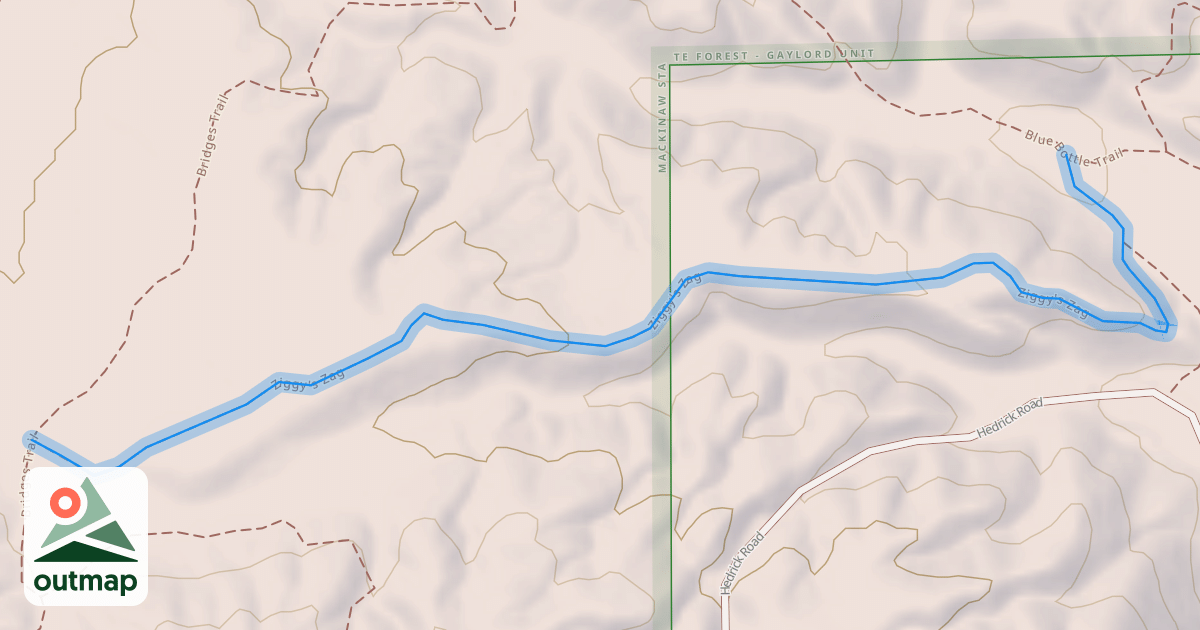 Map of Ziggy's Zag