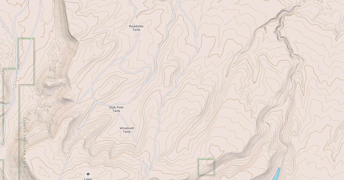 Map preview of USFS National Forest System Roads {0A8B2336-AF6A-45B1-8B0E-2664F05506D4}