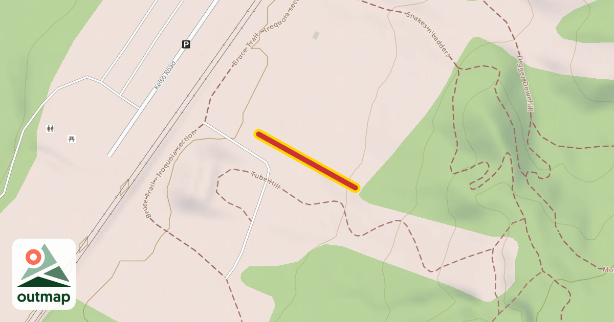 Map of Cricket Carpet