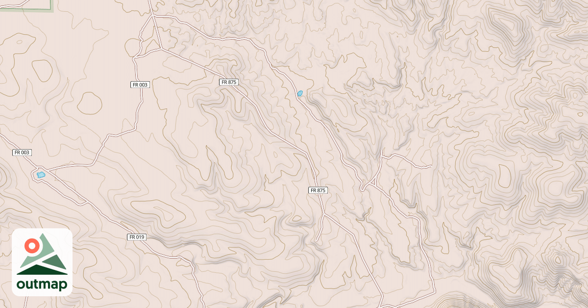Map of USFS National Forest System Roads {8156920C-5C0D-4D28-9461-309A41605ABF}