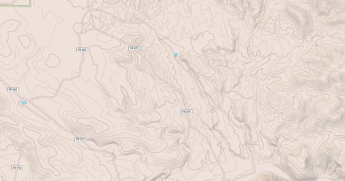 Map preview of USFS National Forest System Roads {8156920C-5C0D-4D28-9461-309A41605ABF}