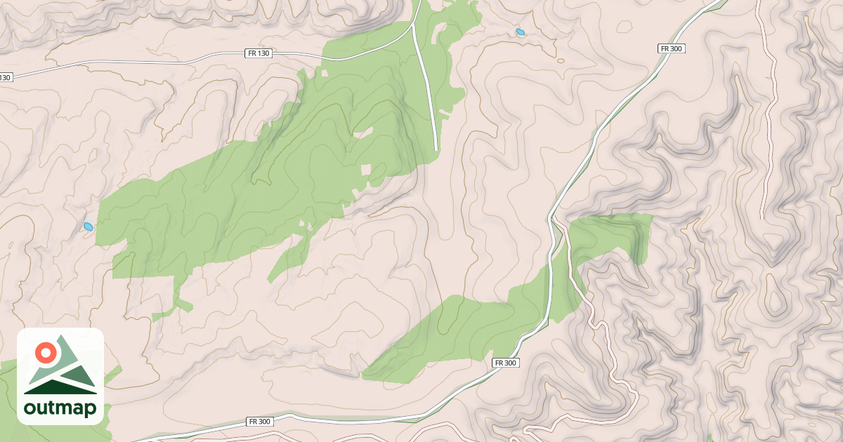 Map of USFS National Forest System Roads {85A6CB72-2DF6-41E9-86EE-754A37021C8C}