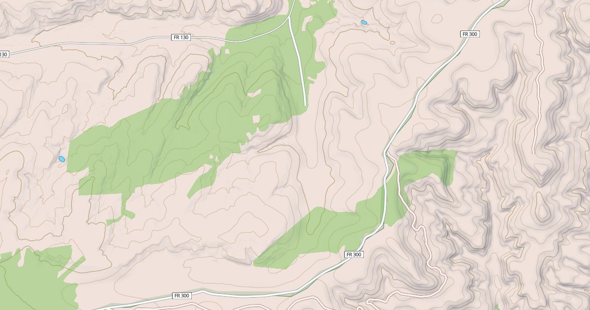 Map preview of USFS National Forest System Roads {85A6CB72-2DF6-41E9-86EE-754A37021C8C}