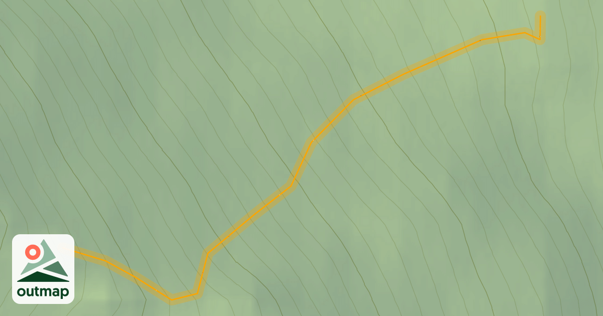 Map of Bodacious