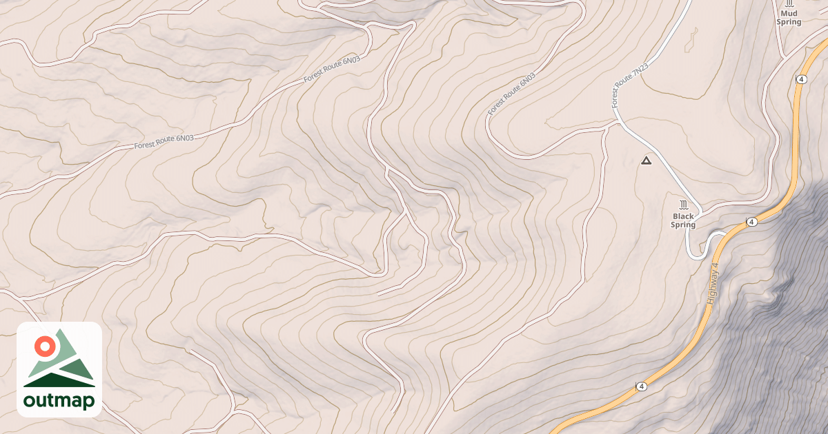 Map of USFS National Forest System Roads {9A81E455-E773-45CC-B094-0E39F9986309}