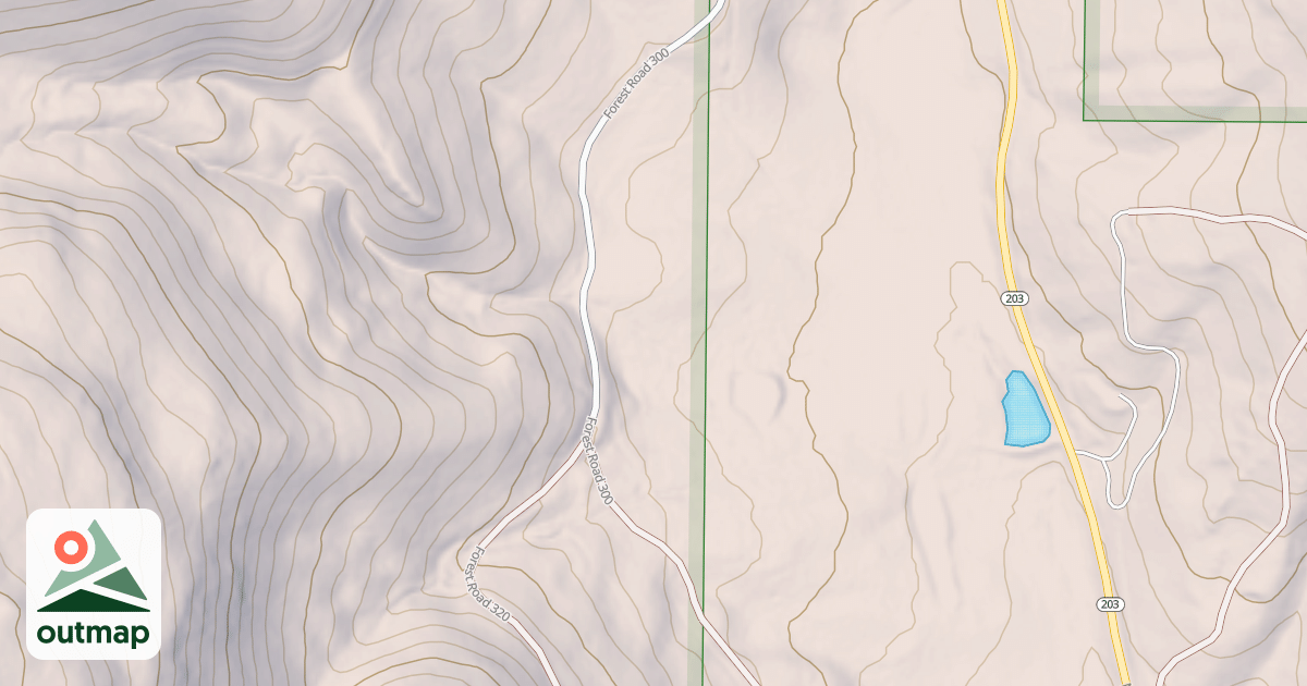Map of USFS National Forest System Roads {7495D543-0F9F-4D57-AB73-64BC14D089D5}