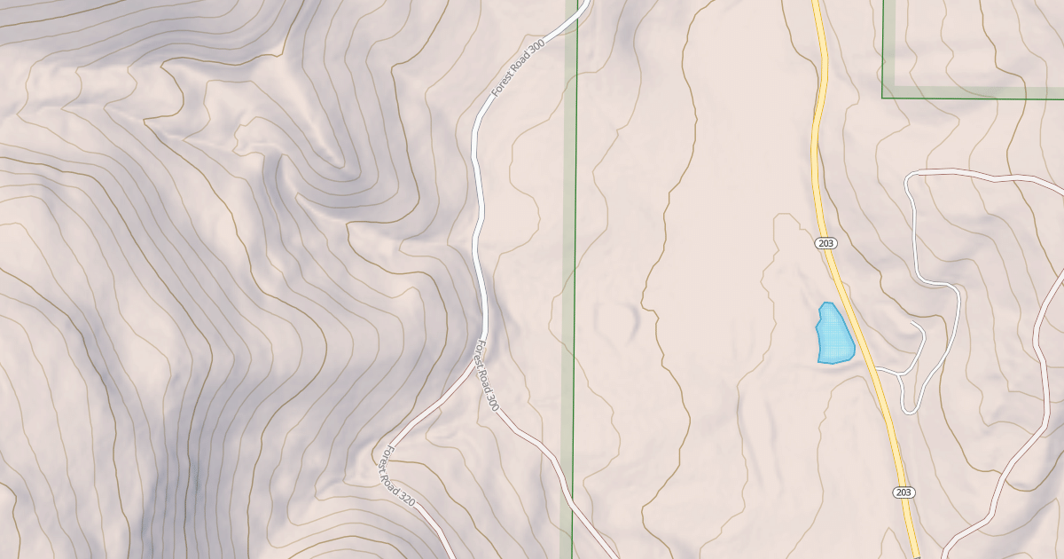 Map preview of USFS National Forest System Roads {7495D543-0F9F-4D57-AB73-64BC14D089D5}