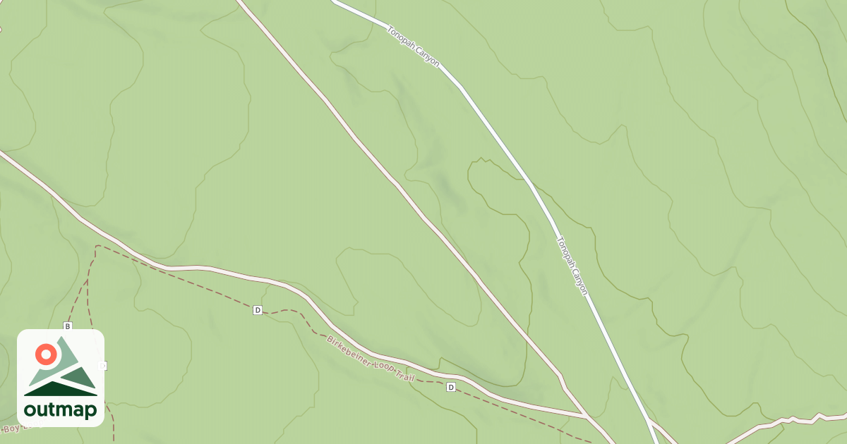 Map of BLM National GTLF Public Motorized Roads 0525890c-9563-4ab1-9718-13aa8fa644c9
