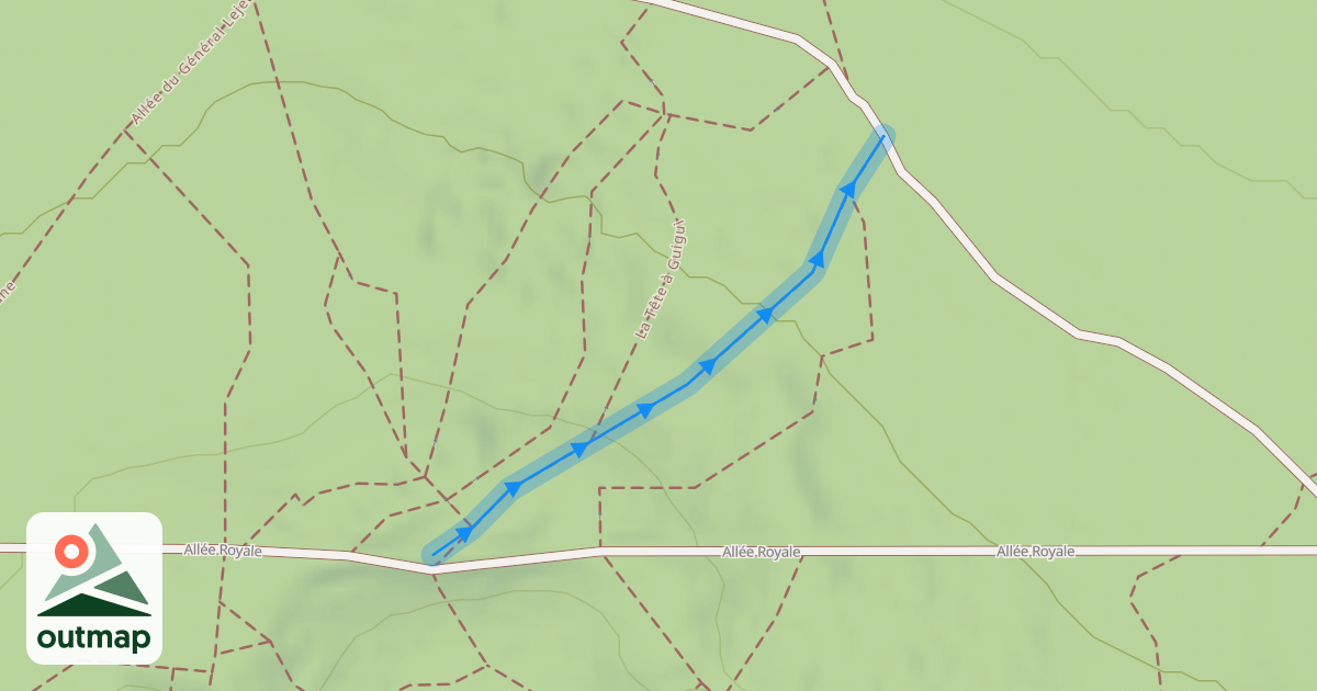 Map of Descente MG Tec 1