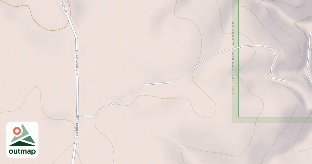 Map of USFS National Forest System Roads {5470D355-A7CA-4759-B6D9-363300A196EA}
