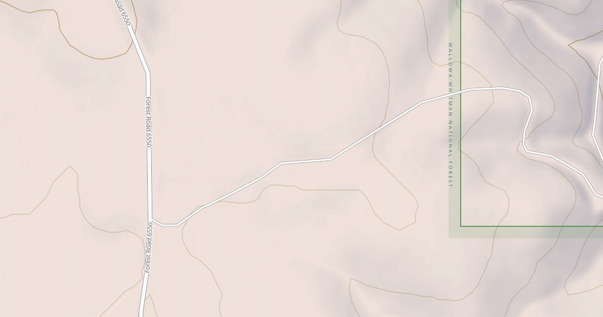 Map preview of USFS National Forest System Roads {5470D355-A7CA-4759-B6D9-363300A196EA}
