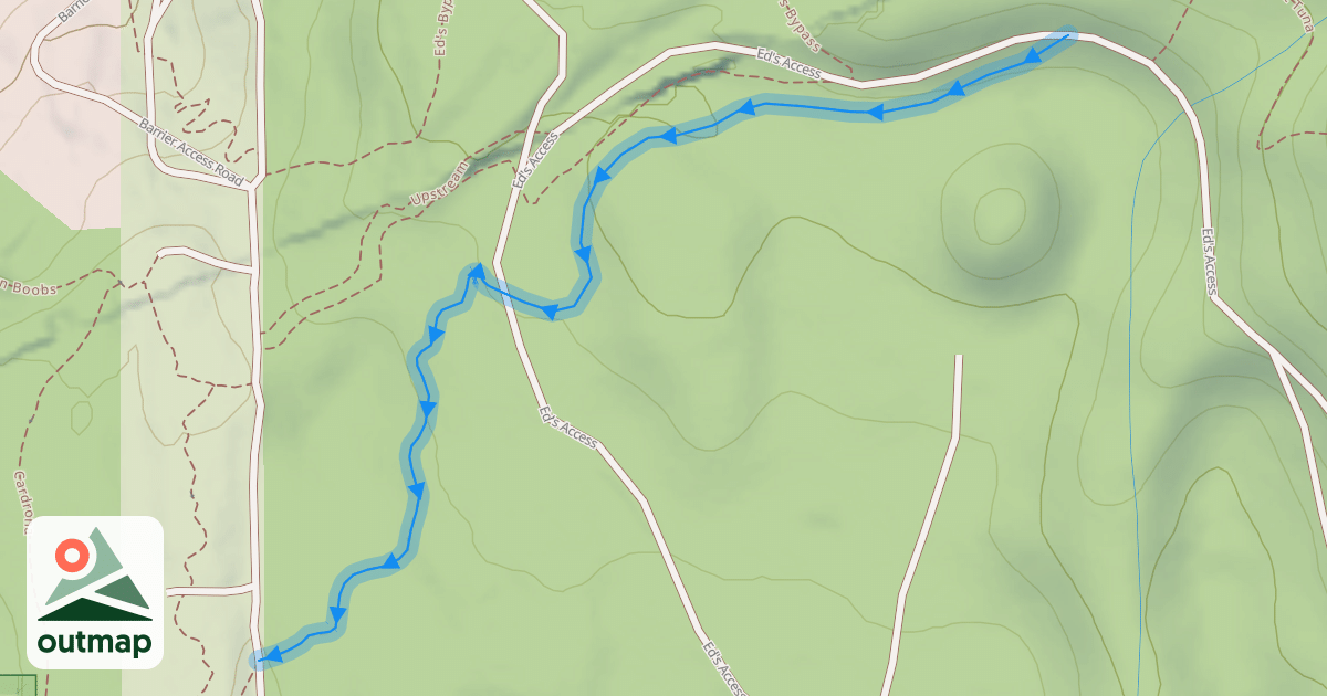 Map of Miki's Magic