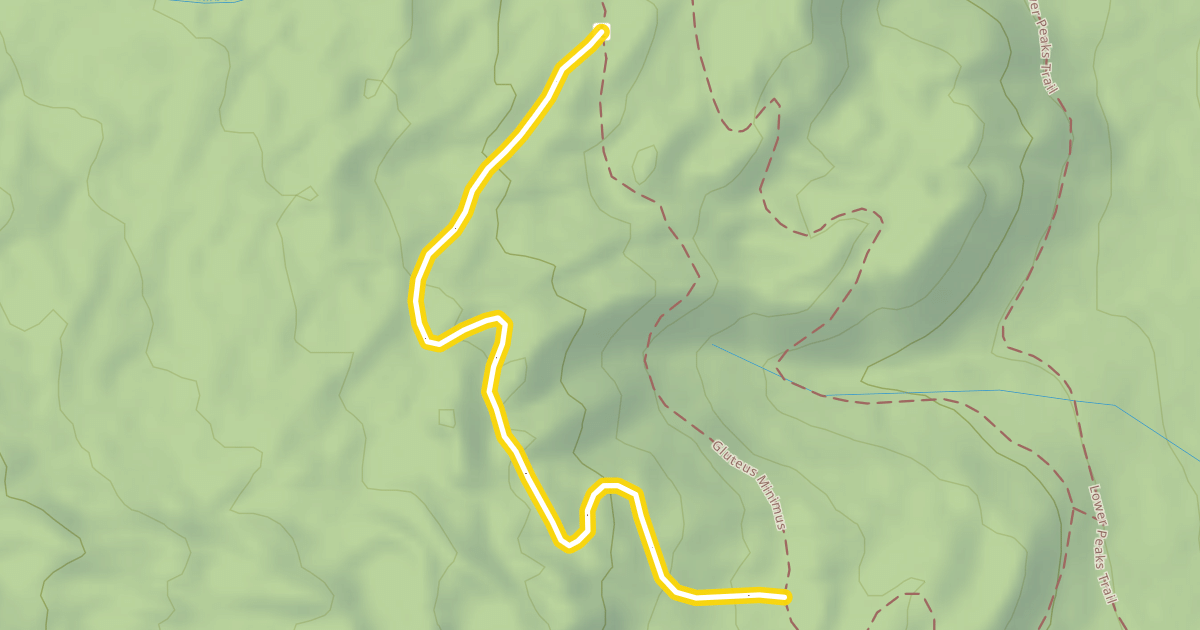 Map preview of Gluteus Maximus