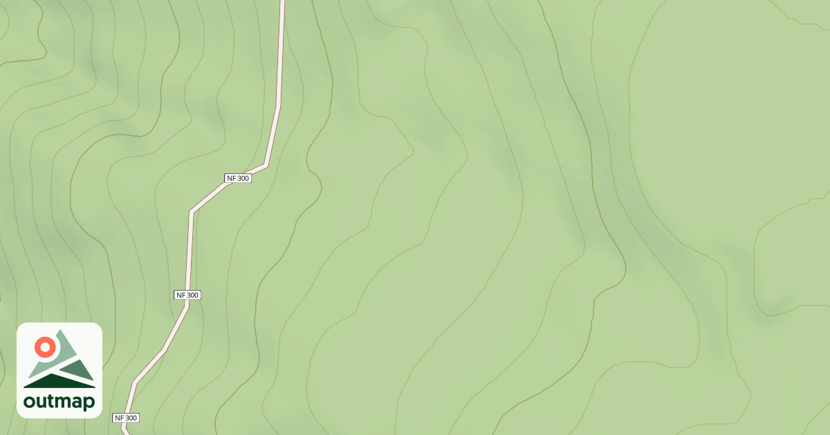 Map of USFS Motor Vehicle Use Map Roads {07D44381-D4DE-4EFE-B185-23263ECE60E2}