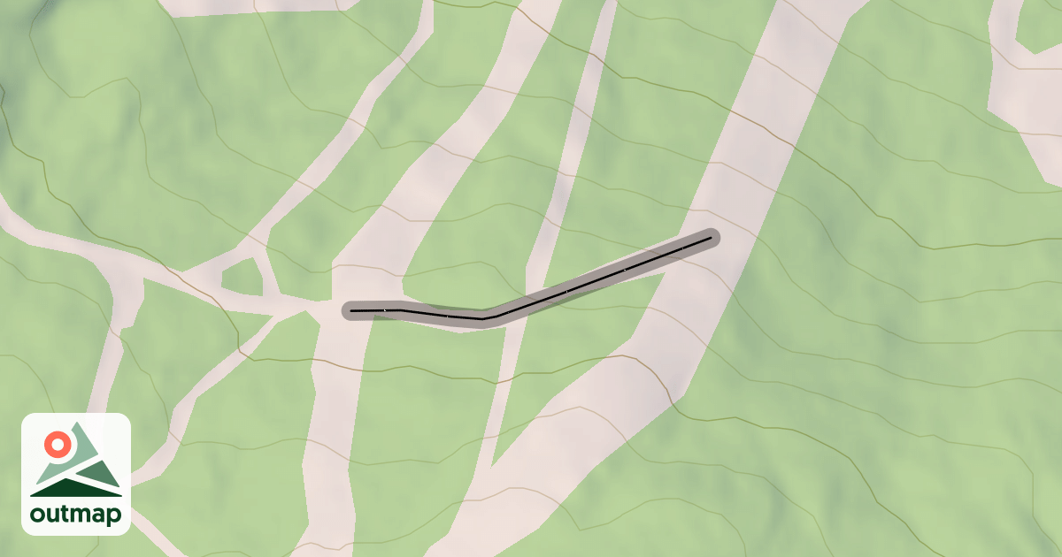 Map of Jungle Road