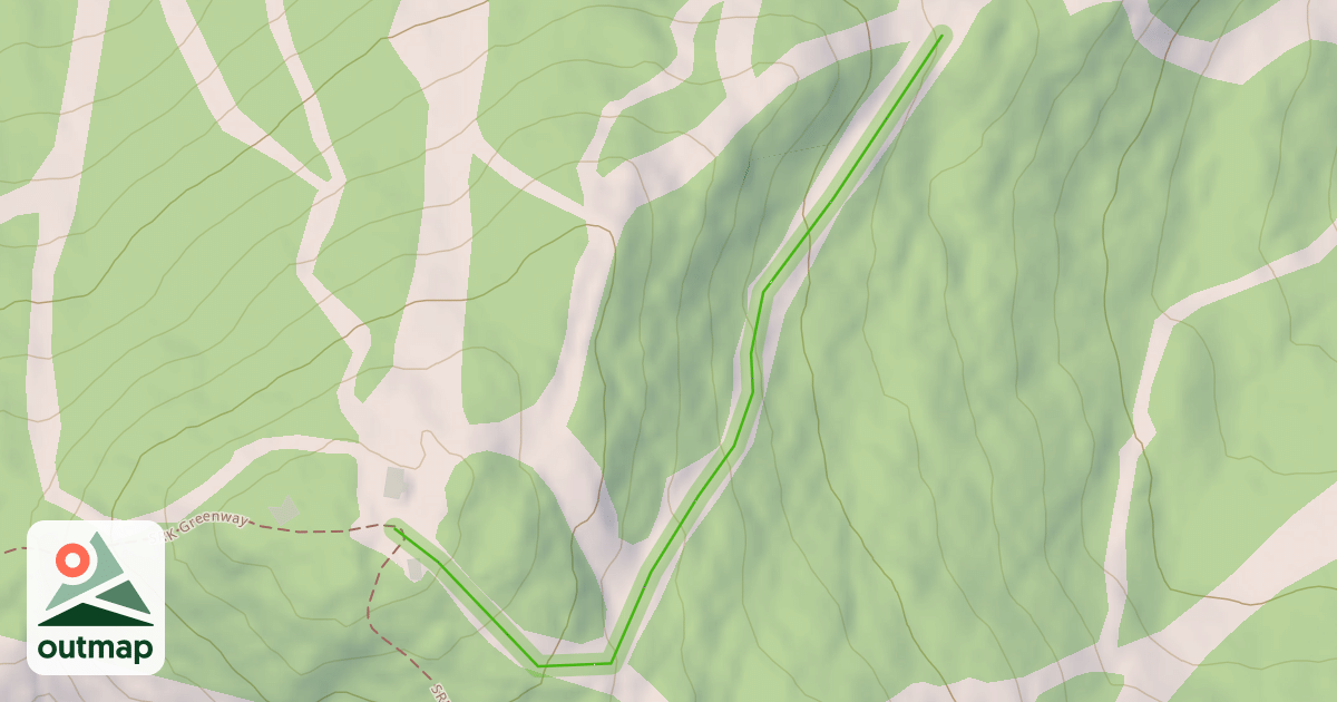 Map of Blueberry Patch