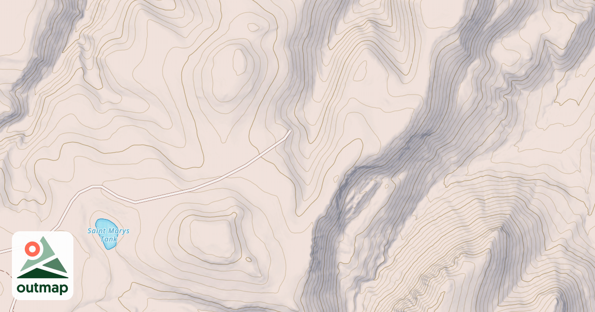 Map of USFS National Forest System Roads {8336ADF3-7810-472E-908F-C8582AADD6BE}