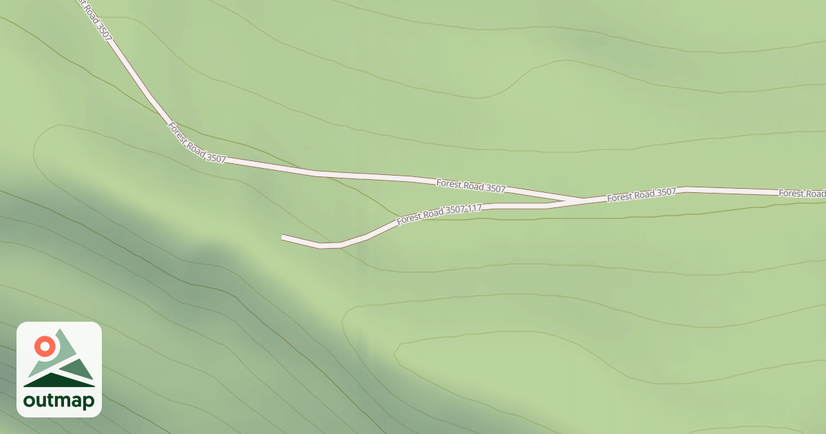 Map of USFS National Forest System Roads {3E3E9A07-9A39-4746-AFF5-E9B161B9996F}