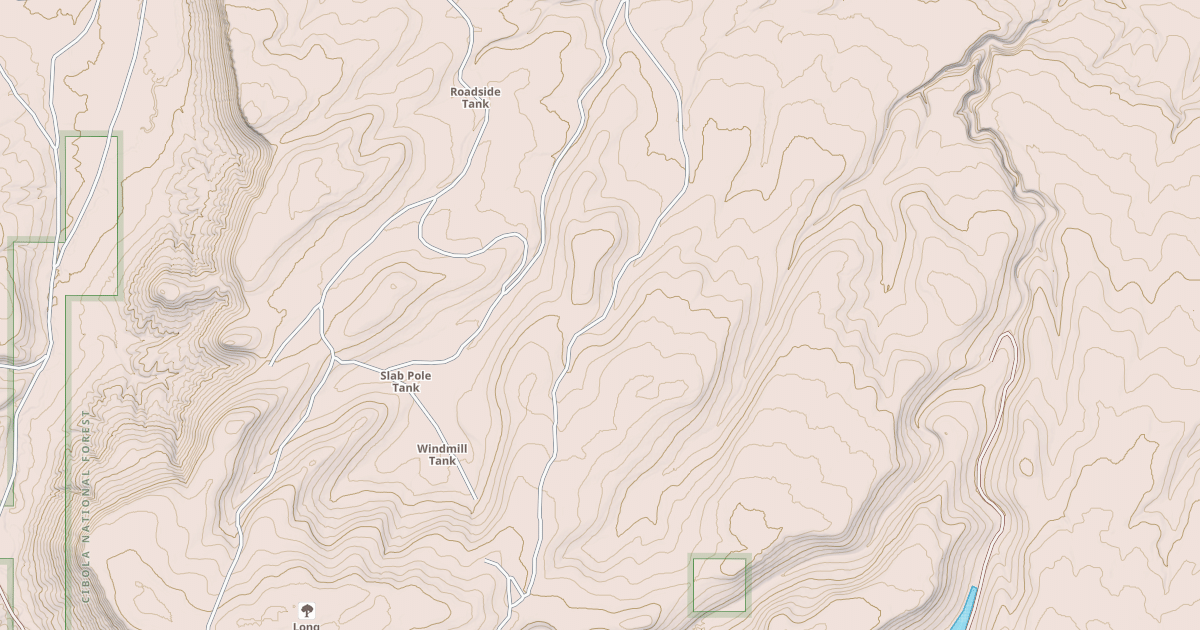 Map preview of USFS Motor Vehicle Use Map Roads {399439D4-FFF2-4425-91DA-BA4C9ADE8546}