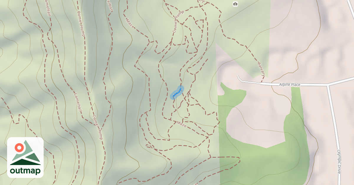 Map of MAZE