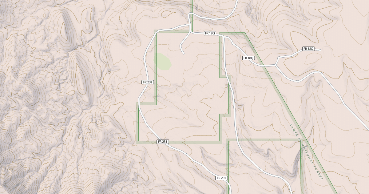 Map preview of USFS National Forest System Roads {EA2C784C-D28B-4AE9-B34F-CDFE027F71BF}