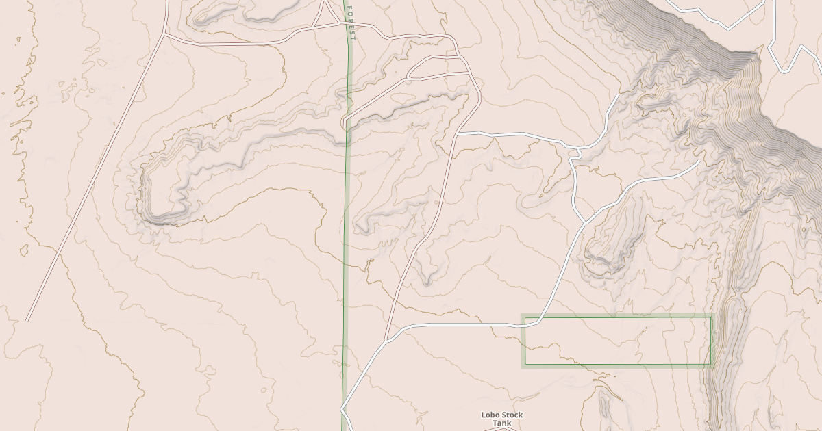 Map preview of USFS Motor Vehicle Use Map Roads {68623F94-11BA-40AF-AE94-F9888A649F3D}
