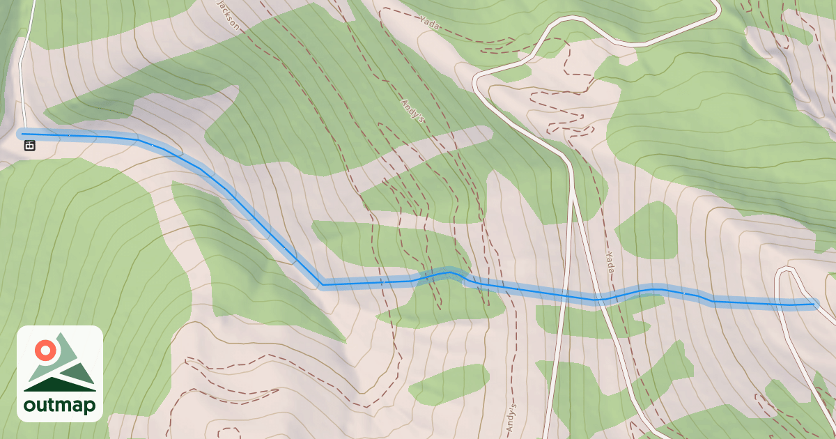 Map of Bird Woman