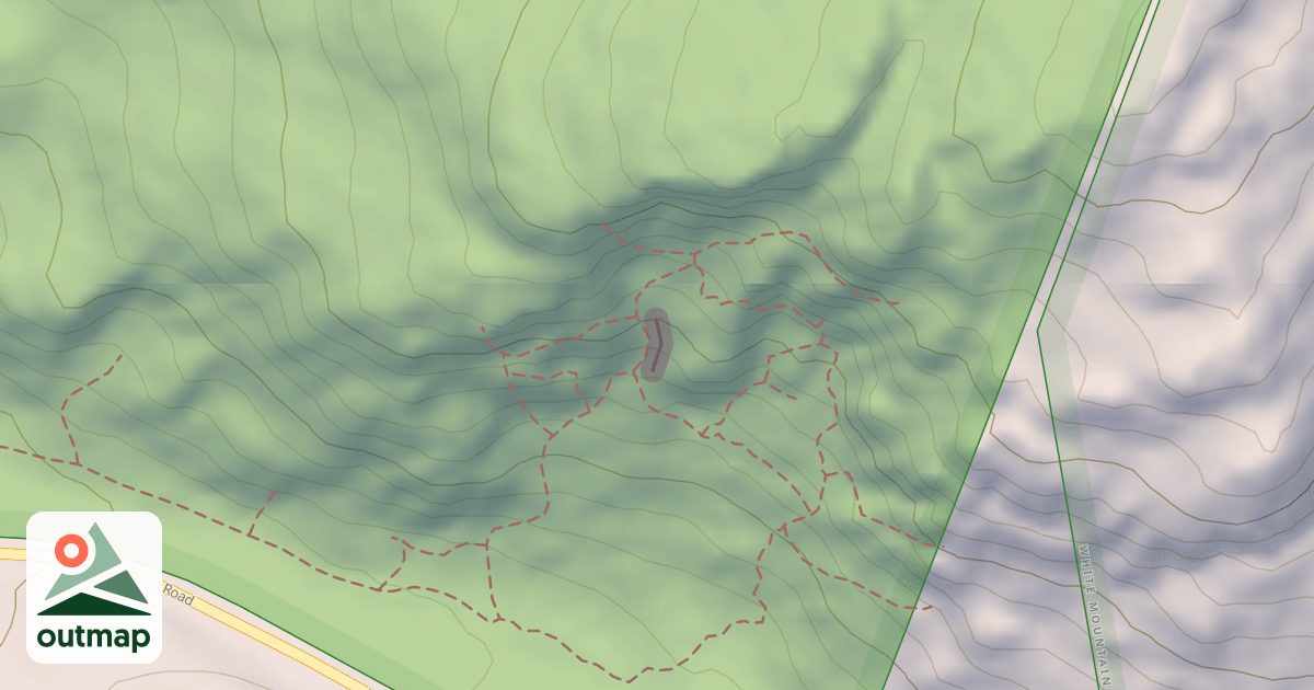 Map of Autum Wall