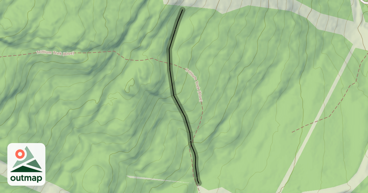 Map of Sagamore Glades