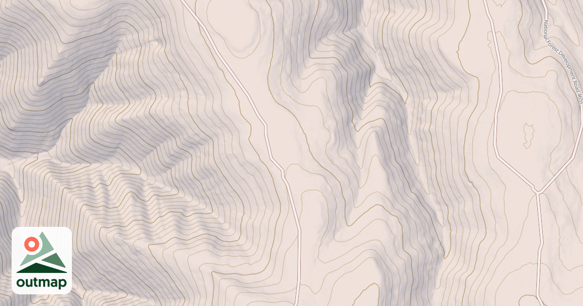 Map of USFS National Forest System Roads {3AC27333-F535-4841-A58A-4296F8DAF7DE}