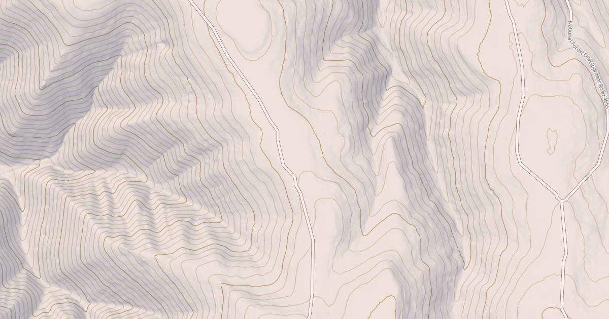 Map preview of USFS National Forest System Roads {3AC27333-F535-4841-A58A-4296F8DAF7DE}