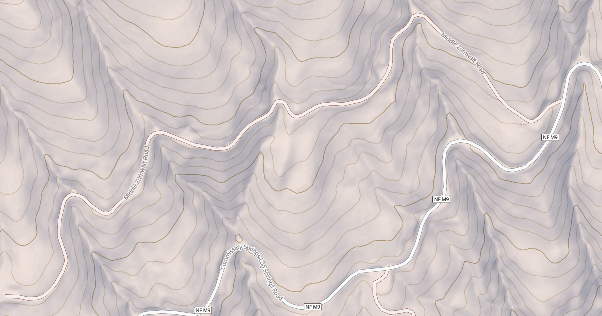 Map preview of MIDDLE ZUMWALT