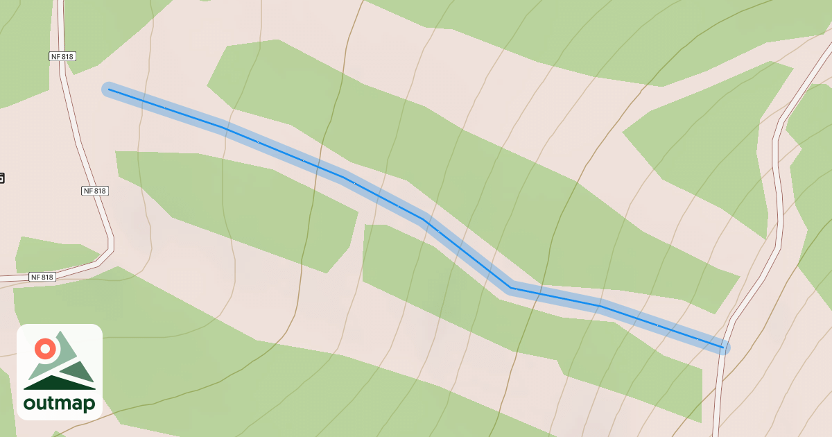 Map of Dante's Vision