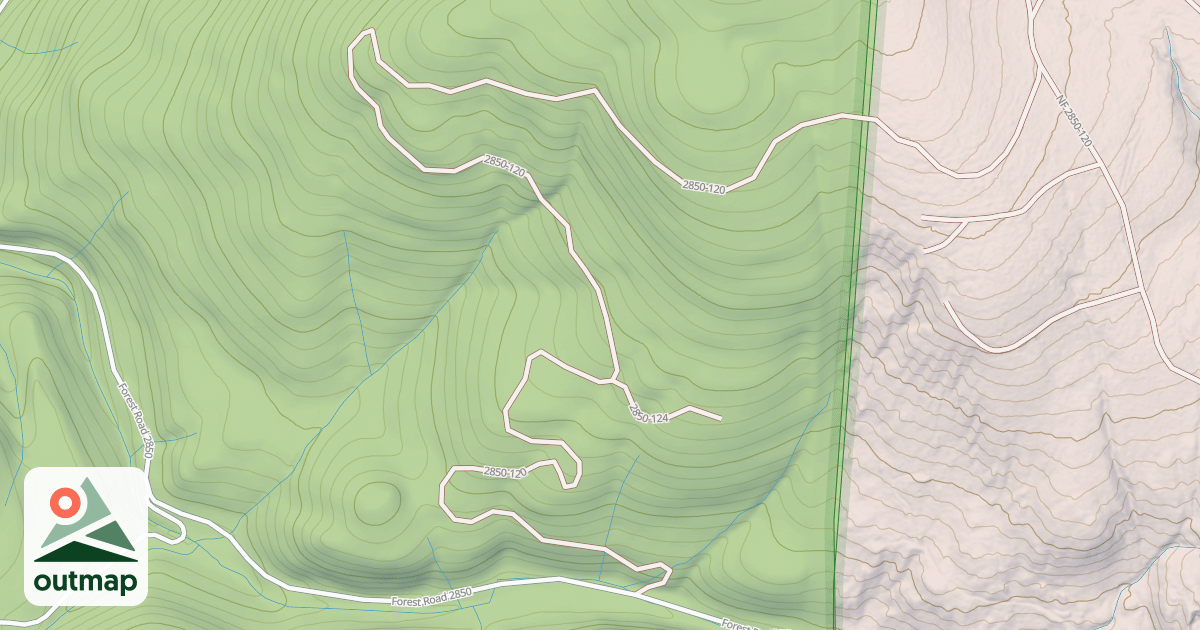 Map of USFS National Forest System Roads {A36B8D27-63F4-4438-8023-605F27997046}