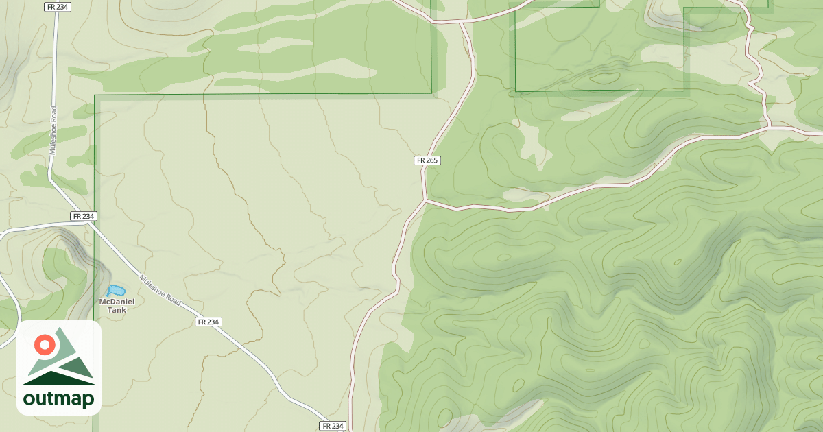 Map of USFS National Forest System Roads {DCAA4EA1-FAFB-4322-A84E-550EBBD1F59A}