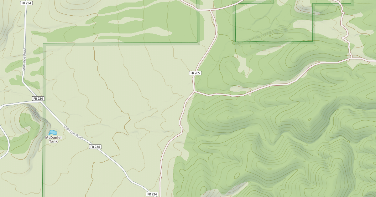 Map preview of USFS National Forest System Roads {DCAA4EA1-FAFB-4322-A84E-550EBBD1F59A}