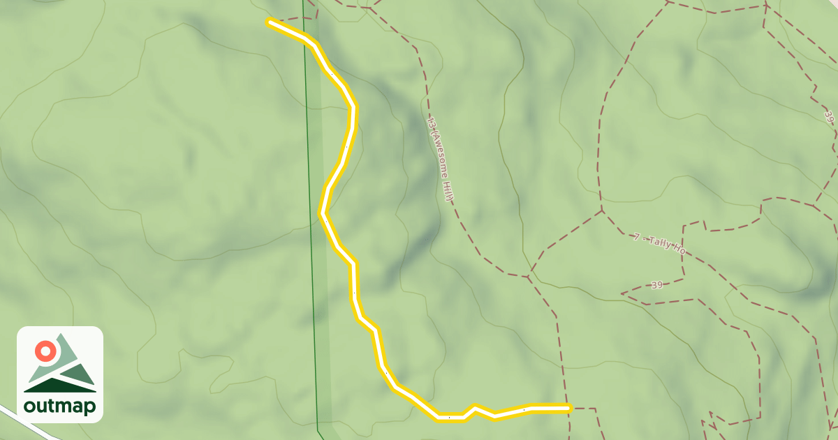 Map of 5